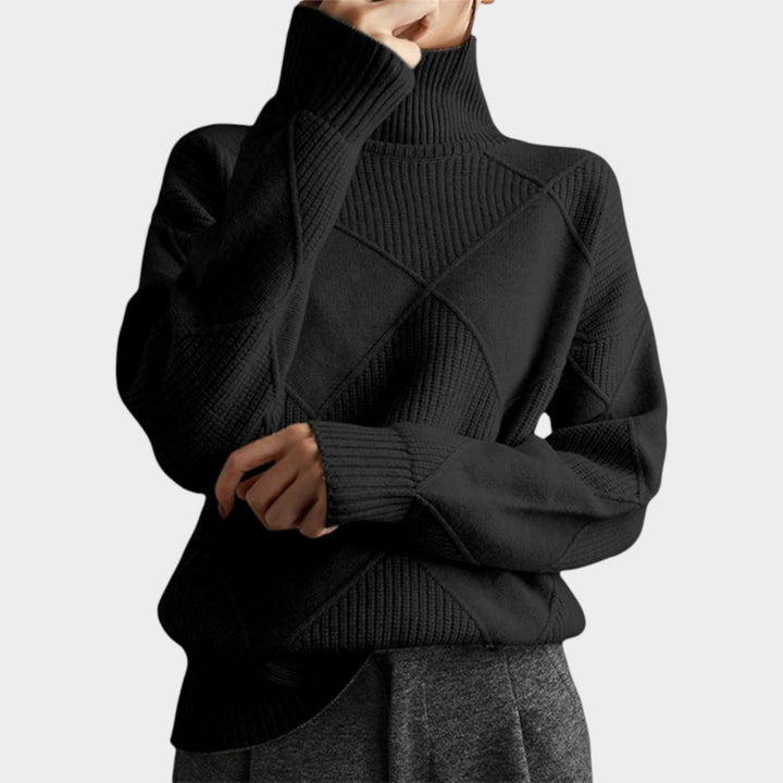 Turtleneck Warm Knit Sweater