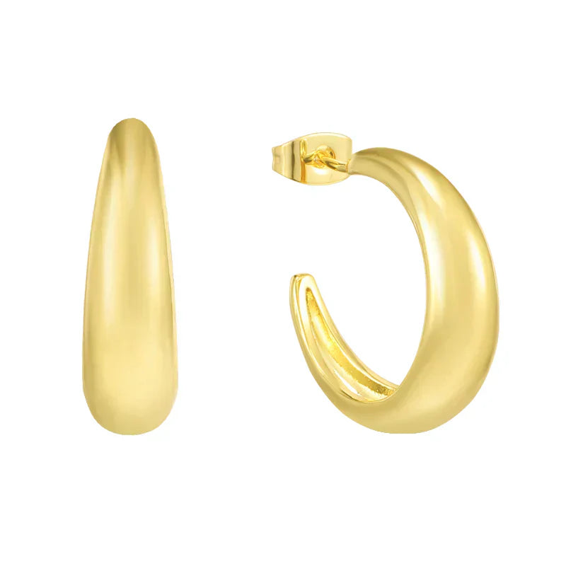 Earring Hoops