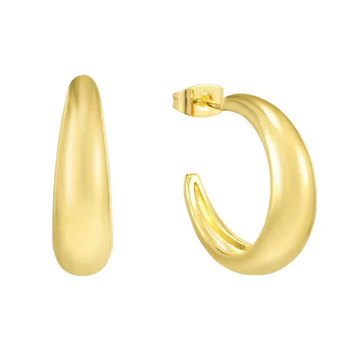Earring Hoops