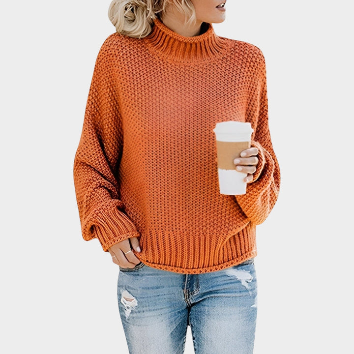 Chunky Turtleneck Knit Sweater