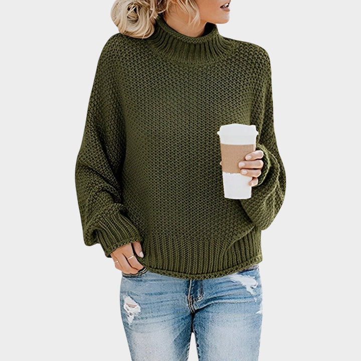 Chunky Turtleneck Knit Sweater