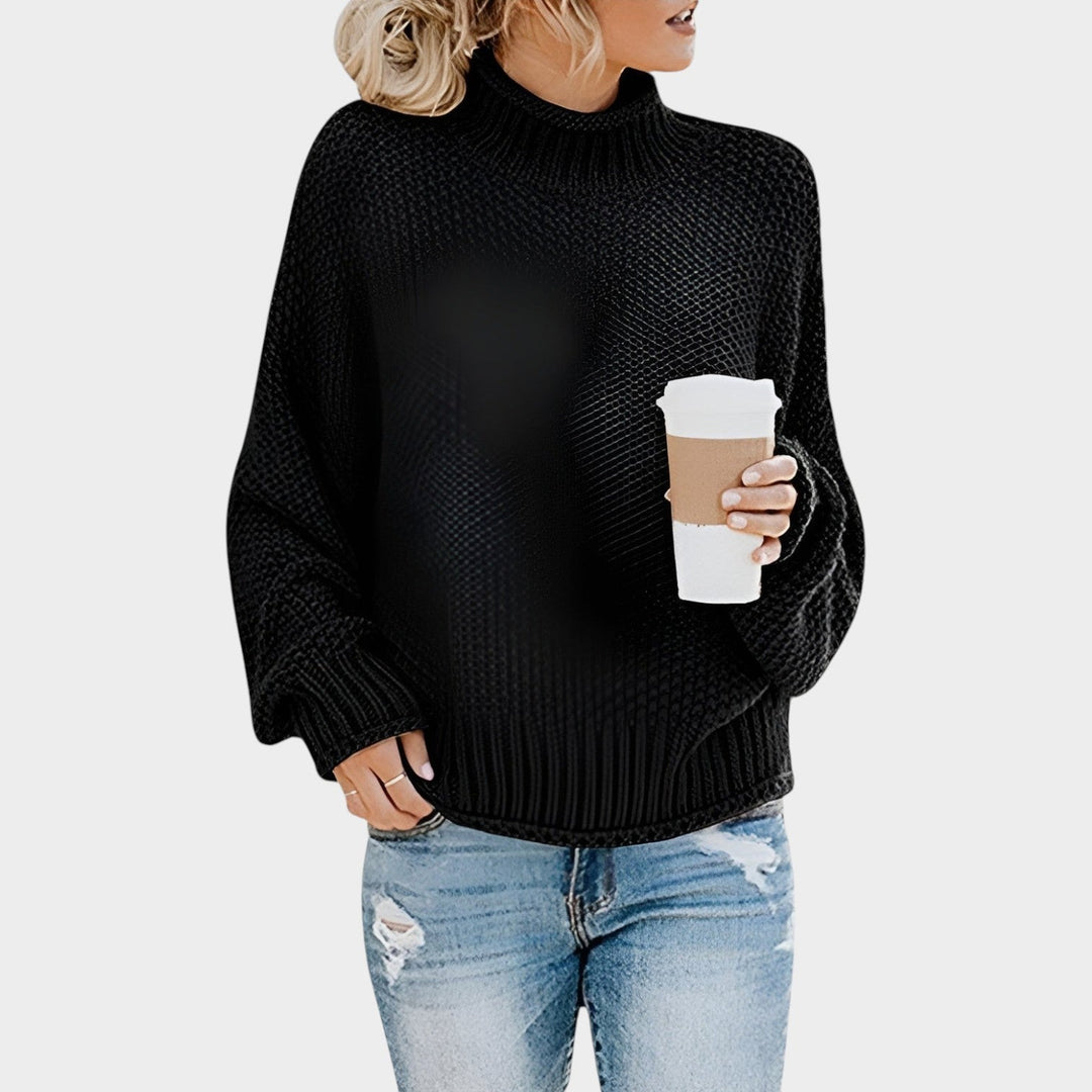 Chunky Turtleneck Knit Sweater