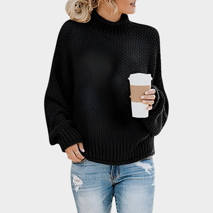 Chunky Turtleneck Knit Sweater