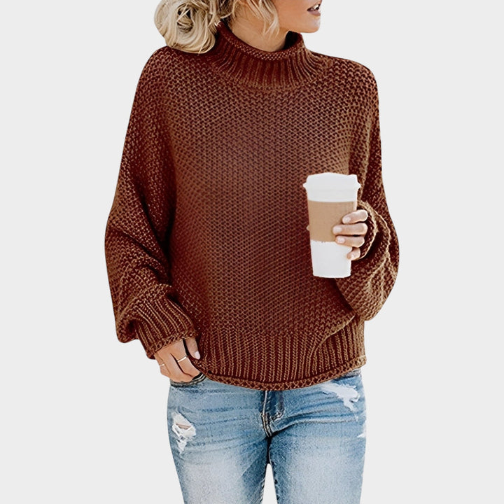 Chunky Turtleneck Knit Sweater