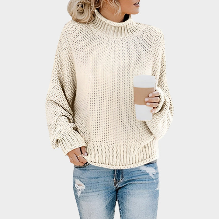 Chunky Turtleneck Knit Sweater