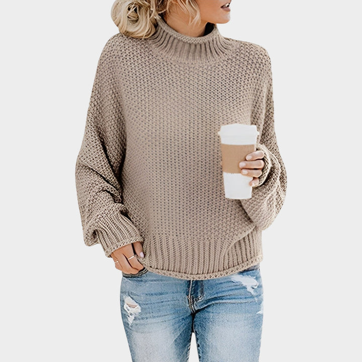 Chunky Turtleneck Knit Sweater