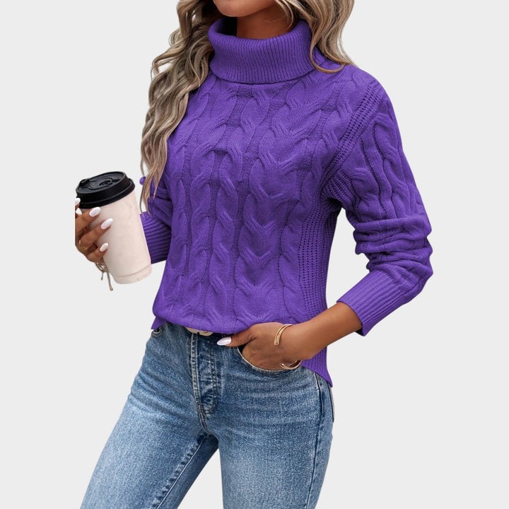 Textured Cable Knit Turtleneck Sweater