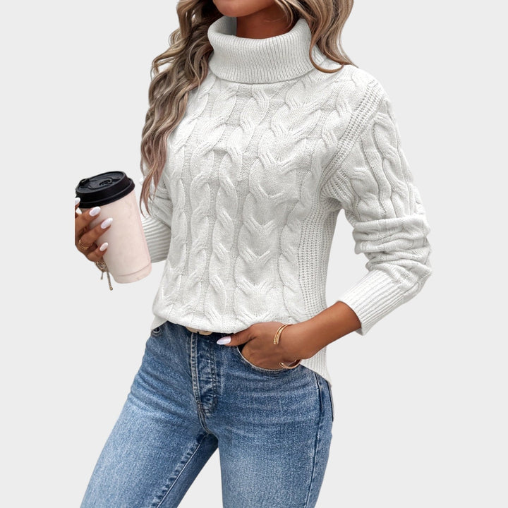 Textured Cable Knit Turtleneck Sweater