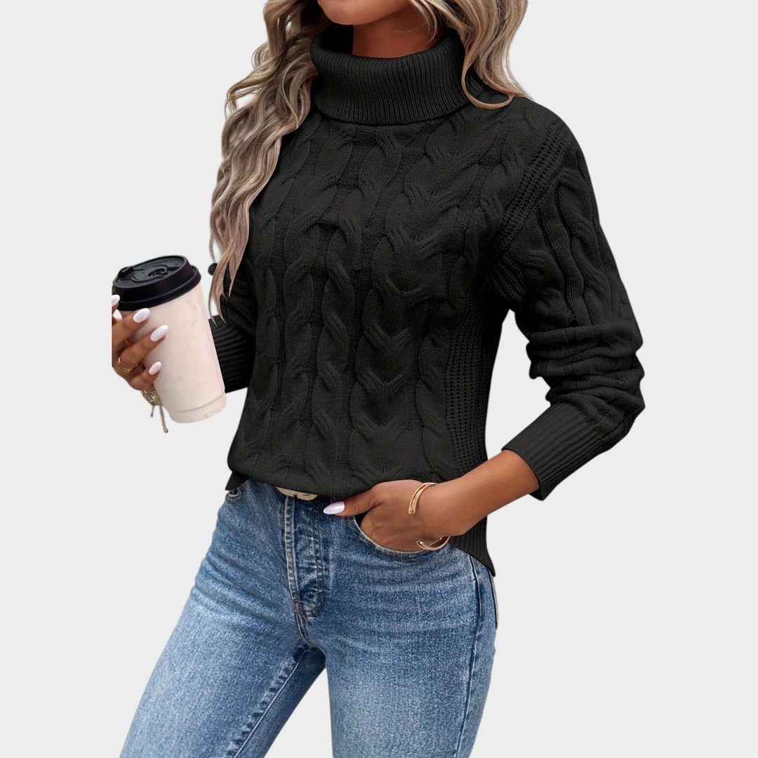 Textured Cable Knit Turtleneck Sweater