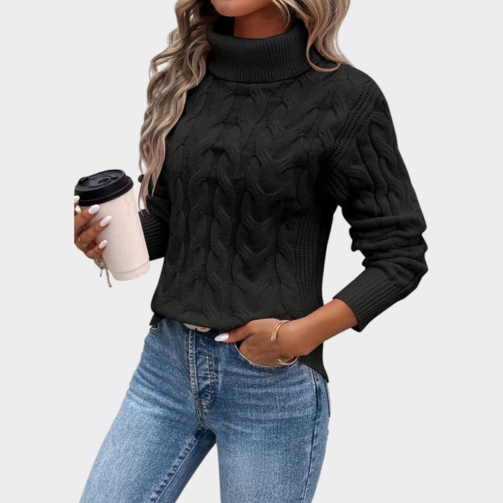 Textured Cable Knit Turtleneck Sweater