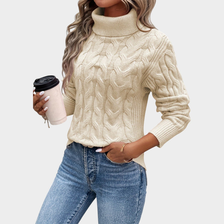 Textured Cable Knit Turtleneck Sweater
