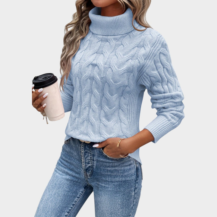 Textured Cable Knit Turtleneck Sweater